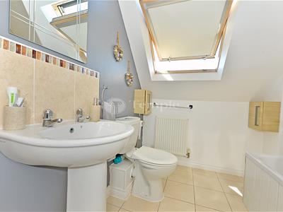 Picture 21